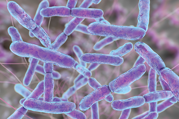 劉英華-乳酸菌的活力測定及其在酸牛奶生産中的應用